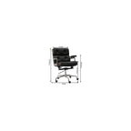 Robin Chair Office Chair Lift Swivel Computer Chair Solid Wood Boss Sofa Chair(Black)