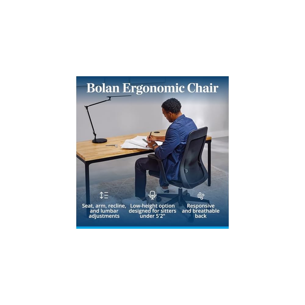 UPLIFT DESK Bolan High Back Ergonomic Office Chair - Lumbar Support, Mesh Back, 4D Armrests, and 40° Recline Desk Chair with 11-Point Adjustability, Cylinder Options, 300 lb Capacity (Fog)